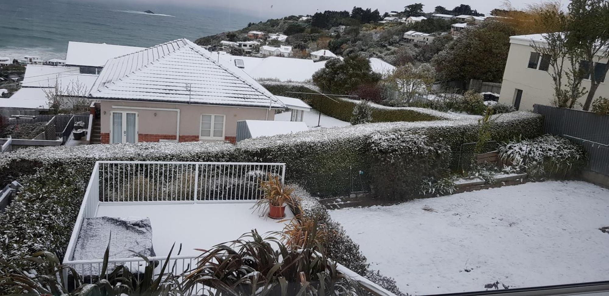 Rosemount B&B By The Sea St Clair Dunedin Exterior photo