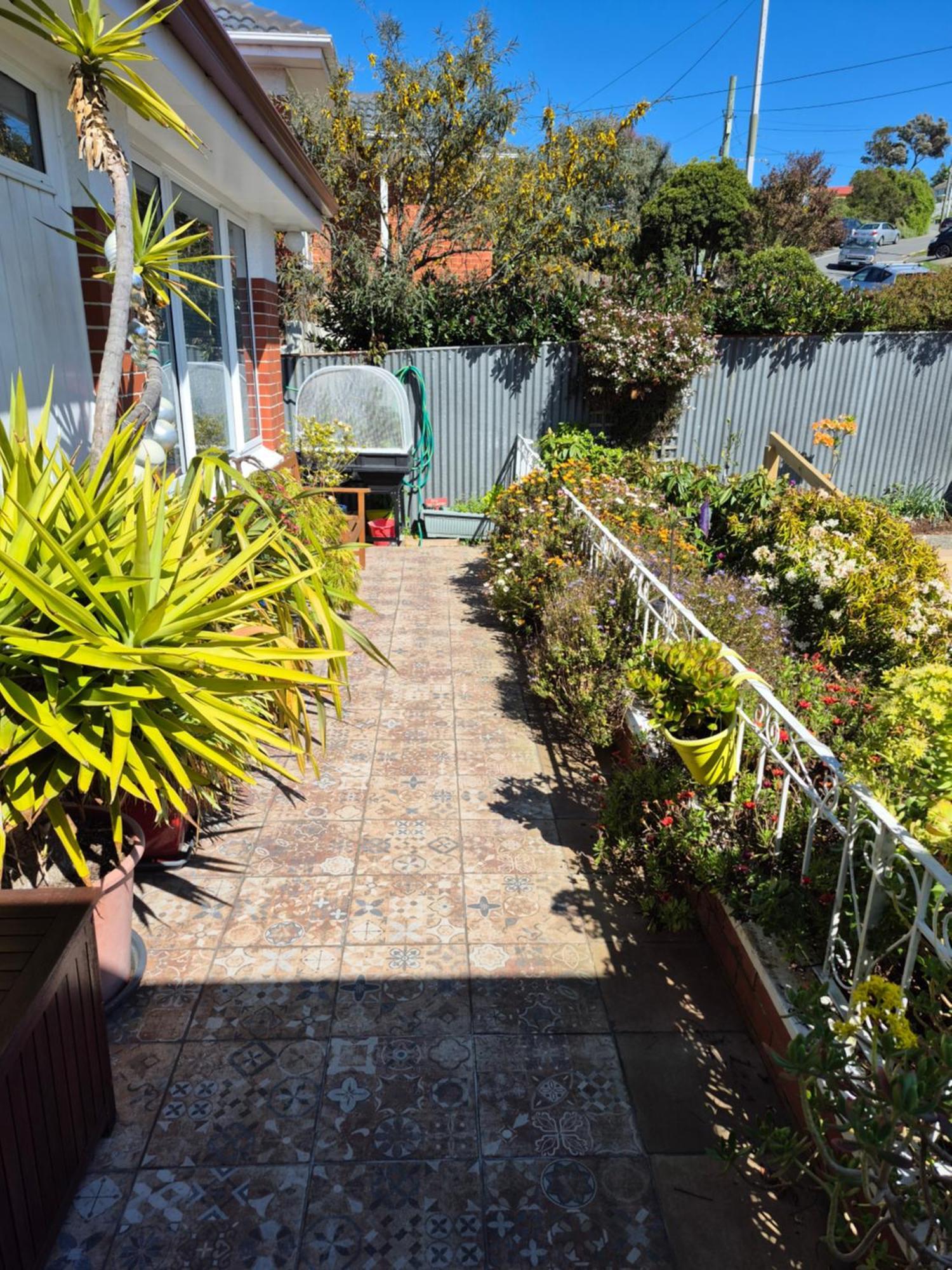 Rosemount B&B By The Sea St Clair Dunedin Exterior photo