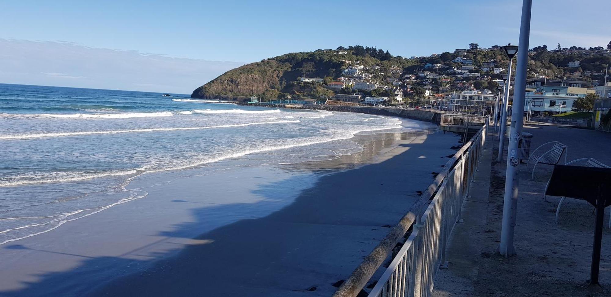 Rosemount B&B By The Sea St Clair Dunedin Exterior photo